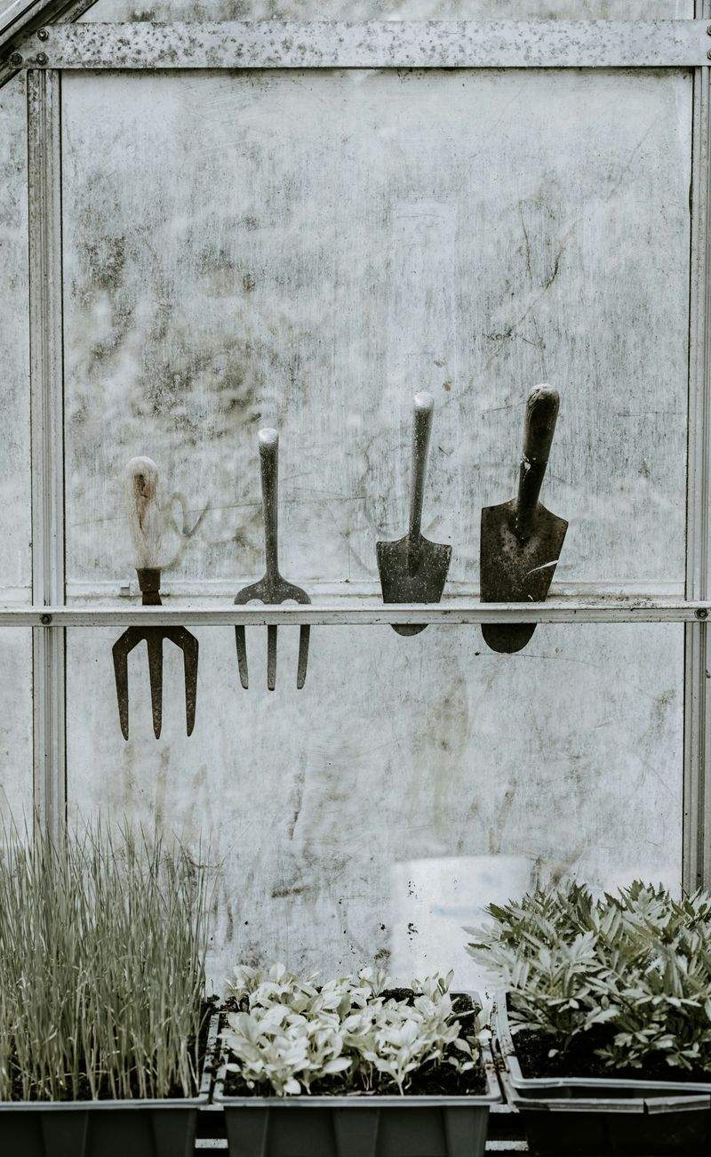 Ideas sencillas para mantener un jardín bonito todo el año