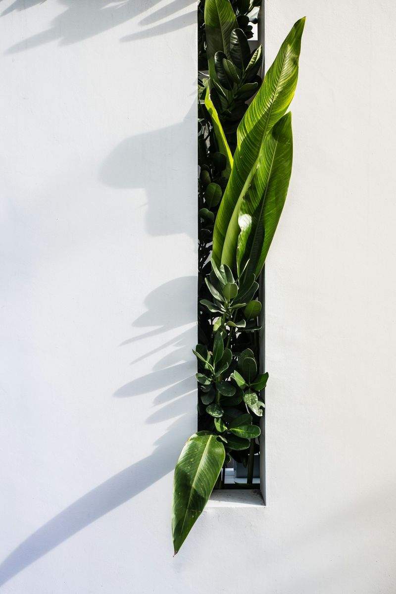 Jardines Verdes do Sul 13